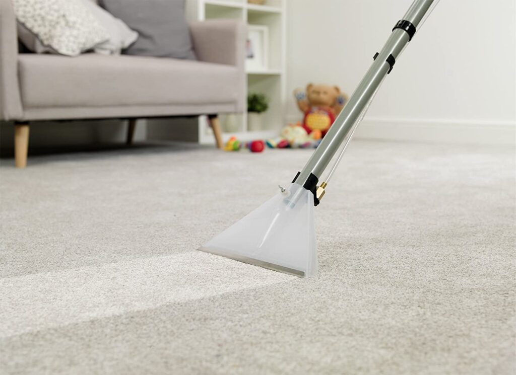 Professional Carpet Cleaning for Cleaner Homes